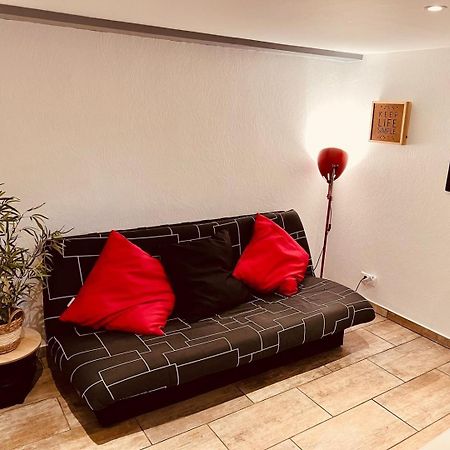 Apartamento Le Camille Charming With Garden 5 Min Chu Poitiers Exterior foto