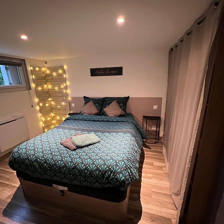 Apartamento Le Camille Charming With Garden 5 Min Chu Poitiers Exterior foto